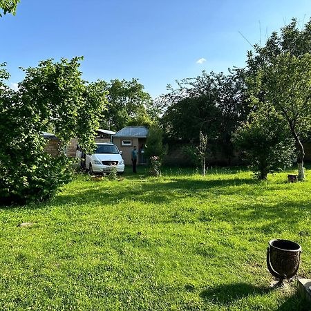 Villa In Qabala Zewnętrze zdjęcie